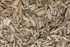 biomass boilers Noahs Ark
